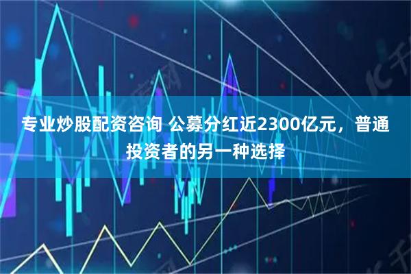 专业炒股配资咨询 公募分红近2300亿元，普通投资者的另一种选择